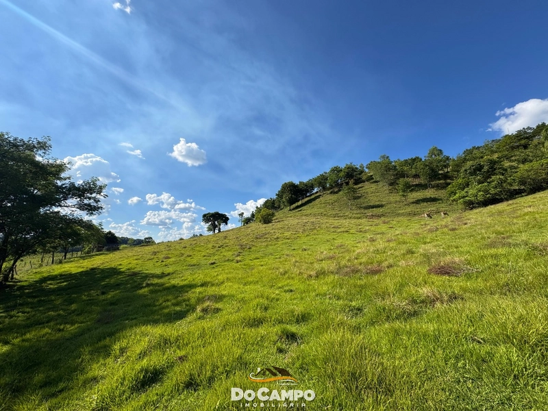 : 14ª foto da galeria de imagens do imóvel