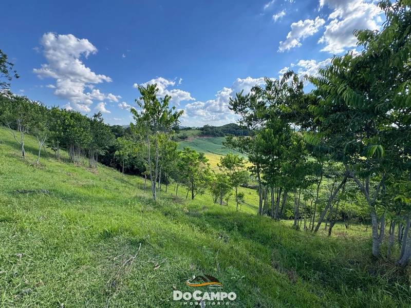 : 9ª foto da galeria de imagens do imóvel