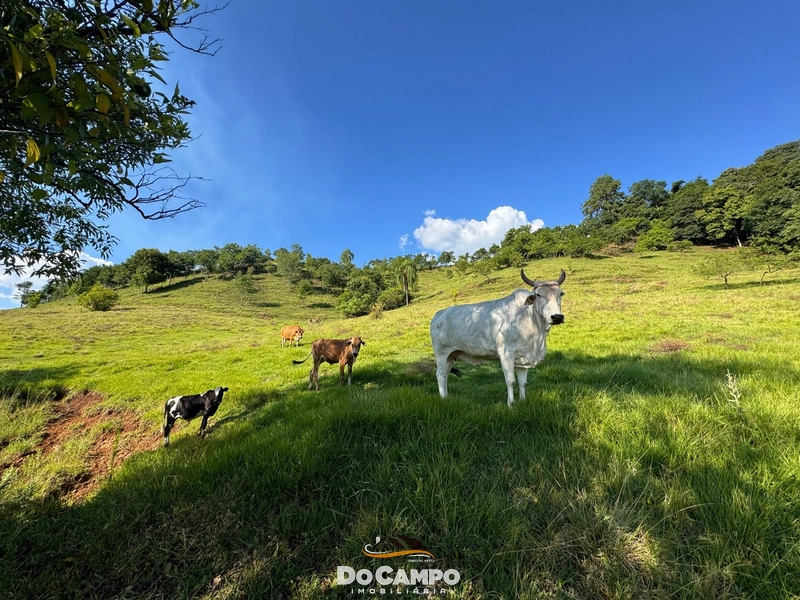 : 12ª foto da galeria de imagens do imóvel