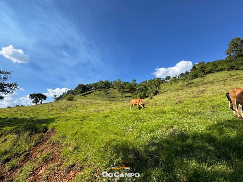 : 15ª foto da galeria de imagens do imóvel