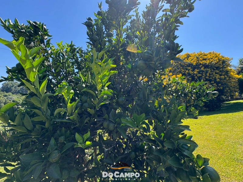 : 27ª foto da galeria de imagens do imóvel