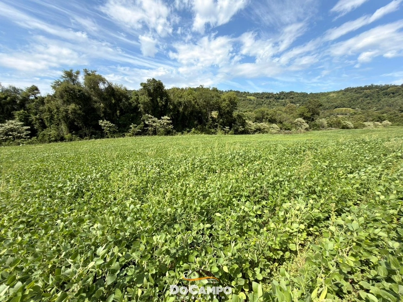 : 9ª foto da galeria de imagens do imóvel