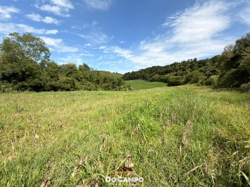 : 5ª foto da galeria de imagens do imóvel