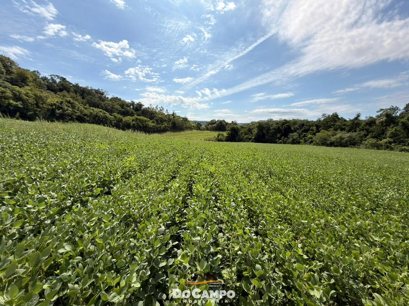 : 4ª foto da galeria de imagens do imóvel