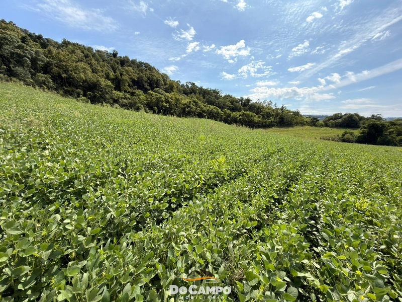 : 3ª foto da galeria de imagens do imóvel