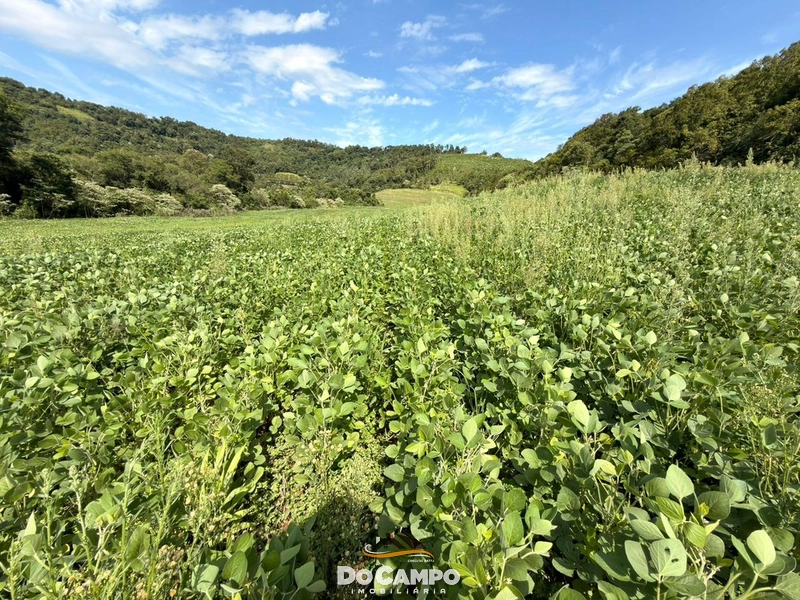 : 8ª foto da galeria de imagens do imóvel