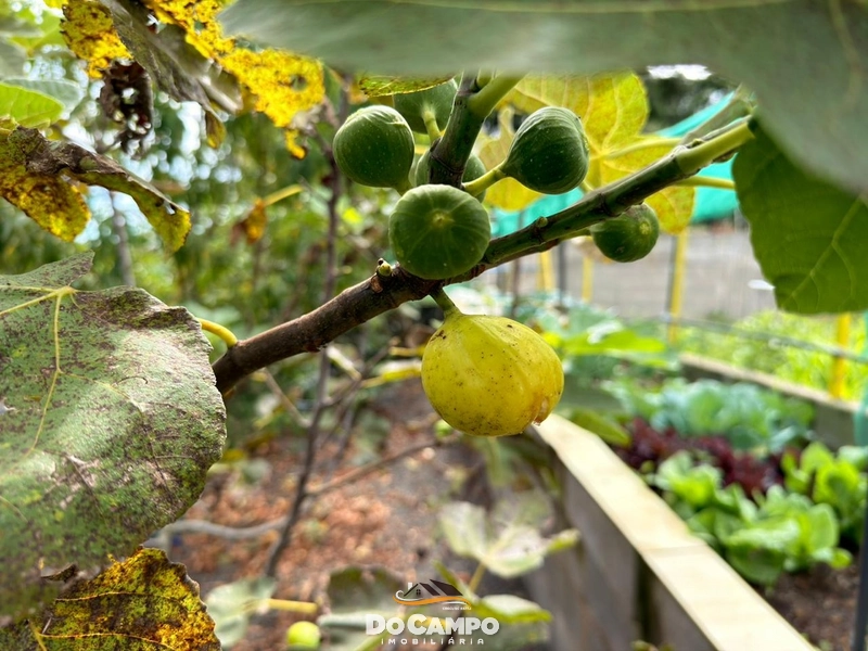 : 18ª foto da galeria de imagens do imóvel