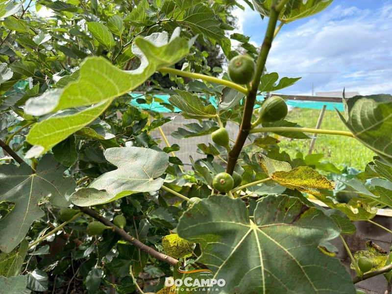 : 21ª foto da galeria de imagens do imóvel