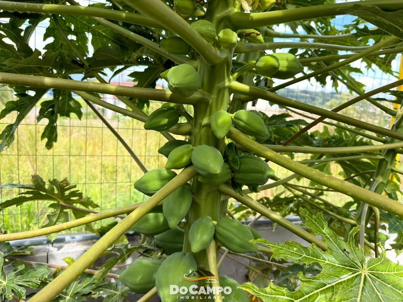 : 22ª foto da galeria de imagens do imóvel