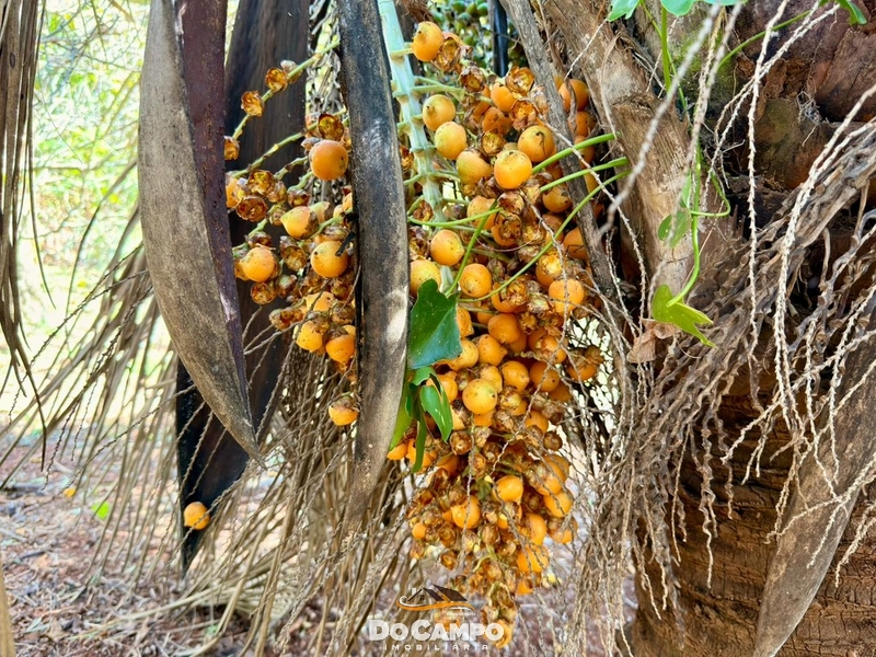 : 12ª foto da galeria de imagens do imóvel