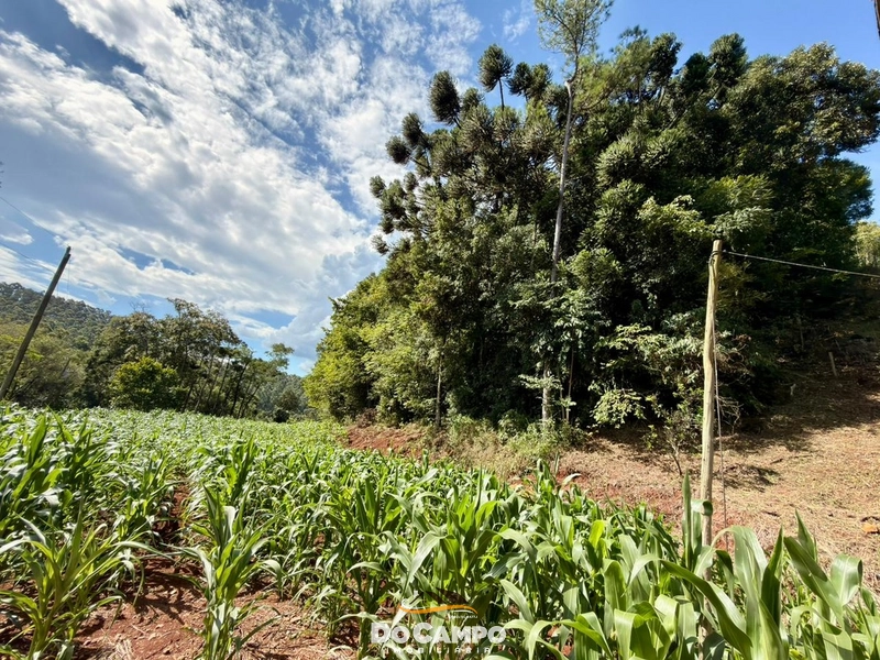: 28ª foto da galeria de imagens do imóvel