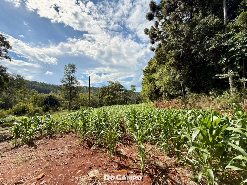 : 29ª foto da galeria de imagens do imóvel