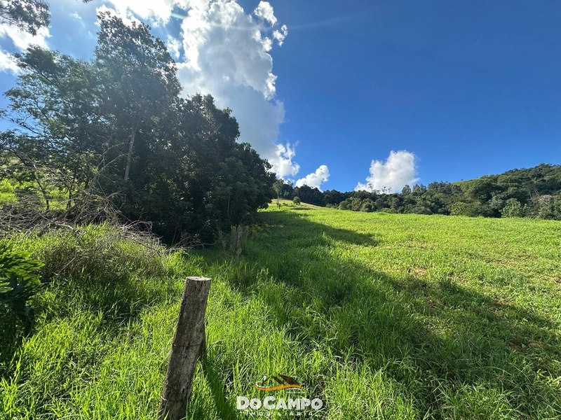 : 20ª foto da galeria de imagens do imóvel