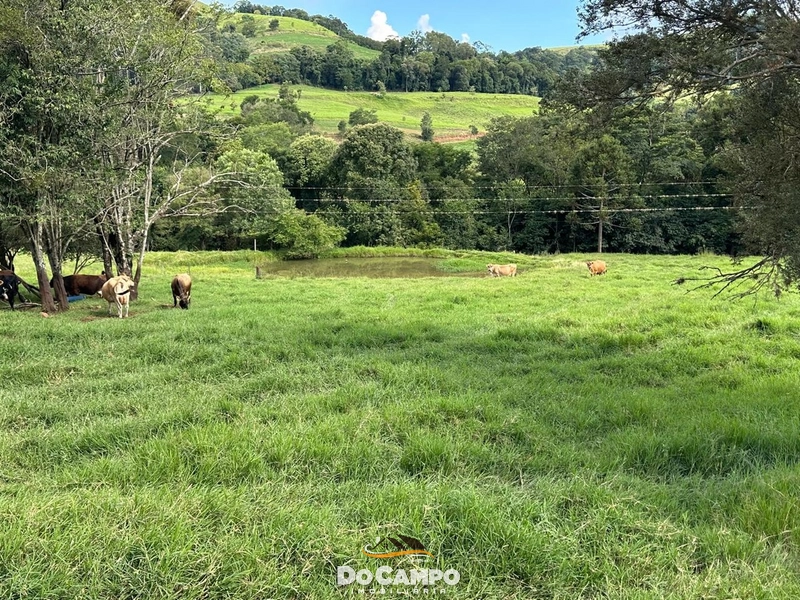 : 4ª foto da galeria de imagens do imóvel