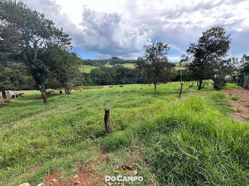 : 8ª foto da galeria de imagens do imóvel