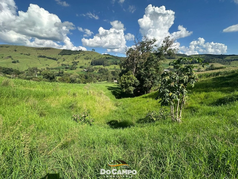 : 25ª foto da galeria de imagens do imóvel