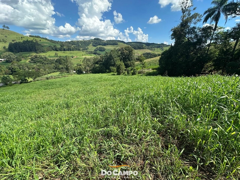 : 22ª foto da galeria de imagens do imóvel