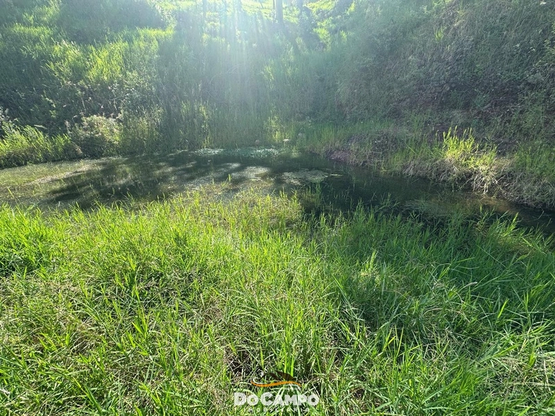 : 26ª foto da galeria de imagens do imóvel