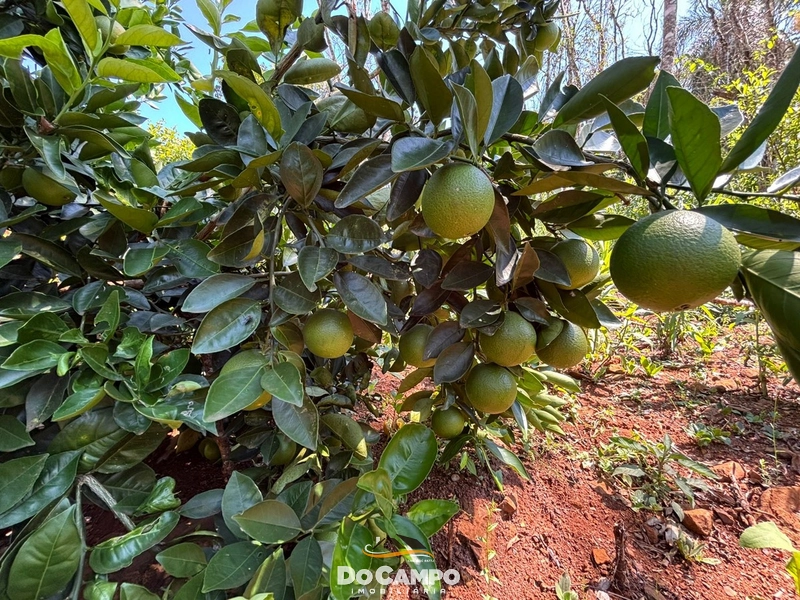 : 20ª foto da galeria de imagens do imóvel