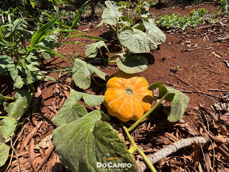 : 18ª foto da galeria de imagens do imóvel