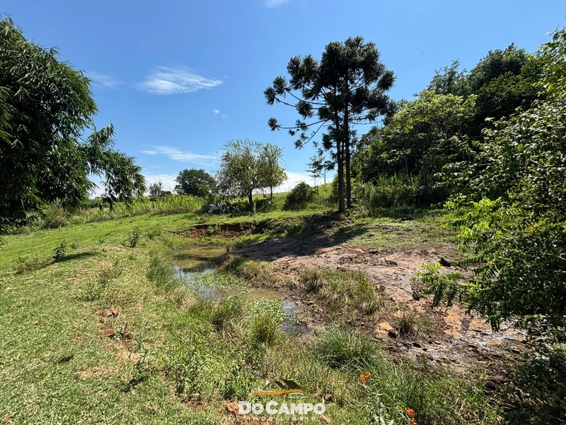 : 22ª foto da galeria de imagens do imóvel