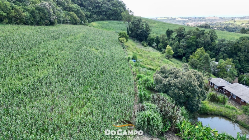 : 19ª foto da galeria de imagens do imóvel