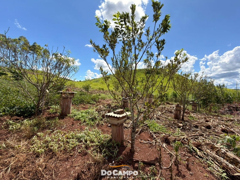 : 26ª foto da galeria de imagens do imóvel