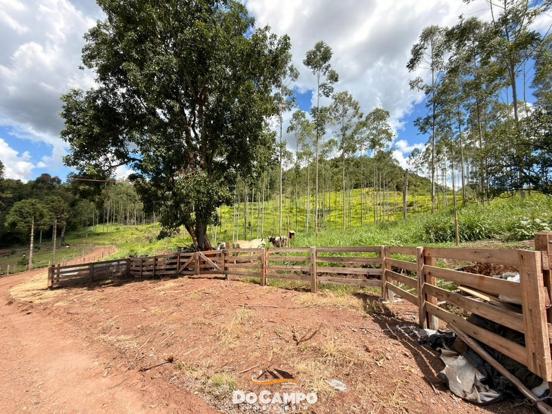 : 17ª foto da galeria de imagens do imóvel