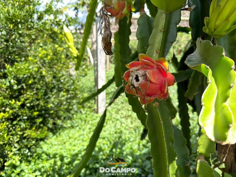 : 27ª foto da galeria de imagens do imóvel