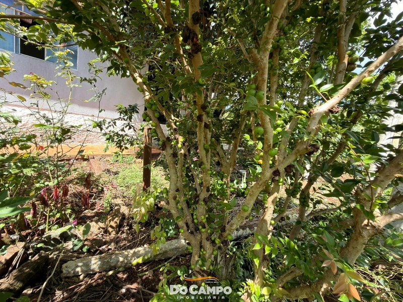 : 25ª foto da galeria de imagens do imóvel