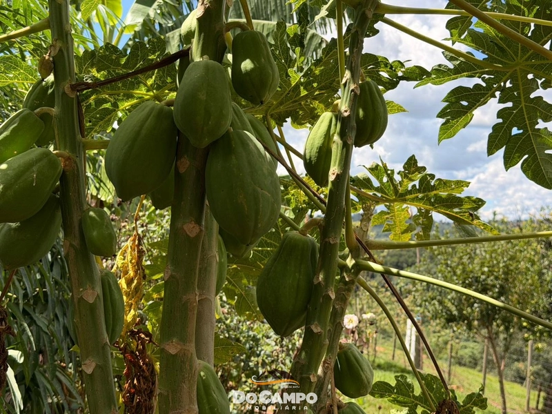 : 21ª foto da galeria de imagens do imóvel