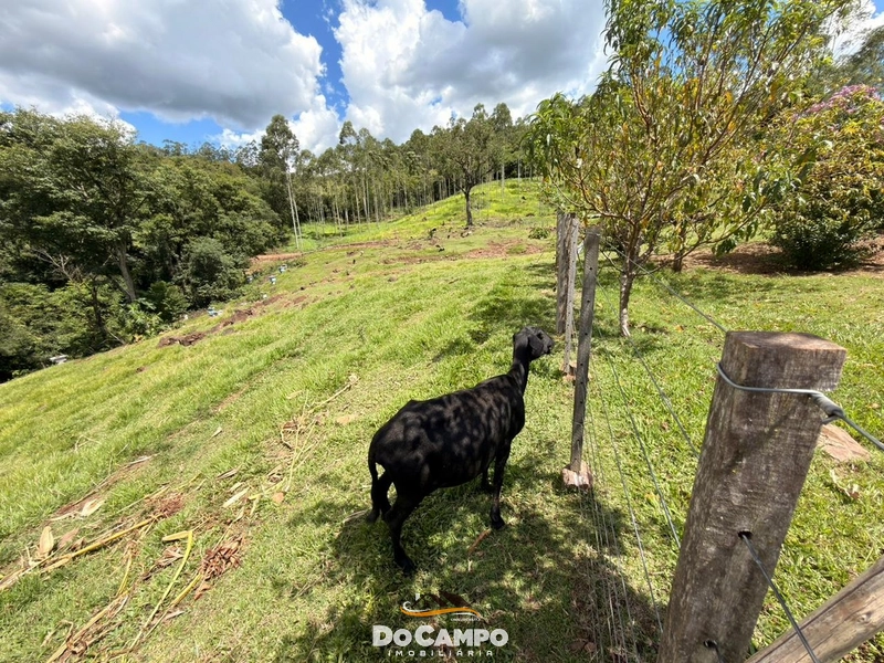 : 22ª foto da galeria de imagens do imóvel