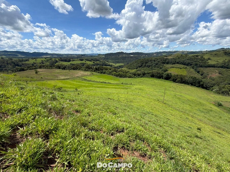 : 42ª foto da galeria de imagens do imóvel