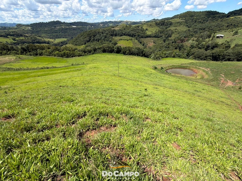 : 43ª foto da galeria de imagens do imóvel