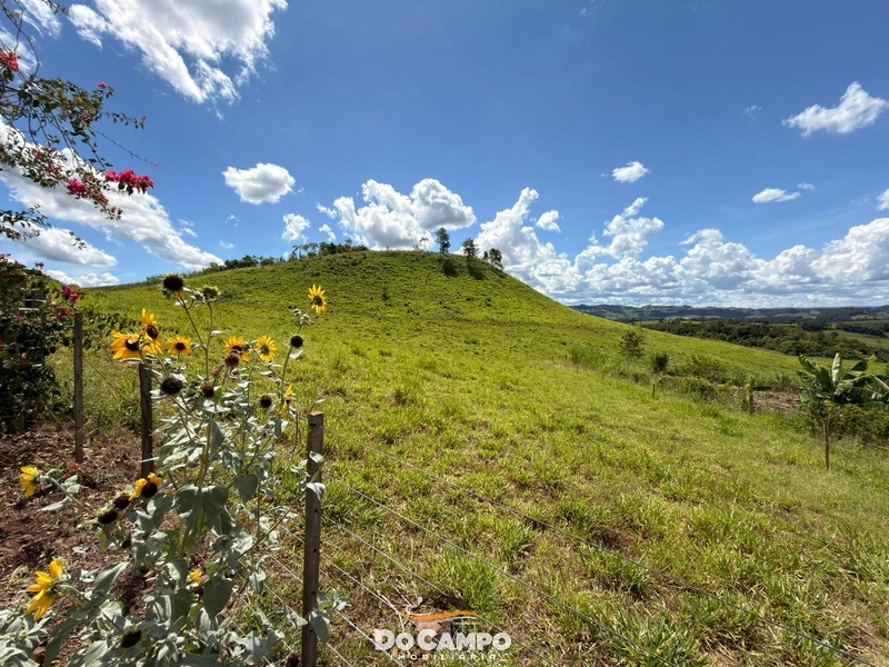 : 20ª foto da galeria de imagens do imóvel