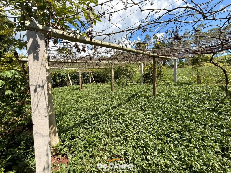 : 29ª foto da galeria de imagens do imóvel