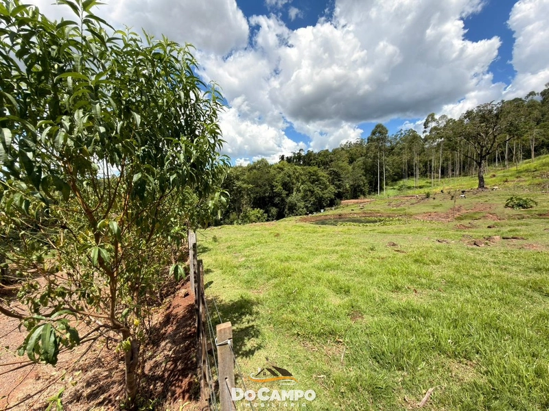 : 24ª foto da galeria de imagens do imóvel