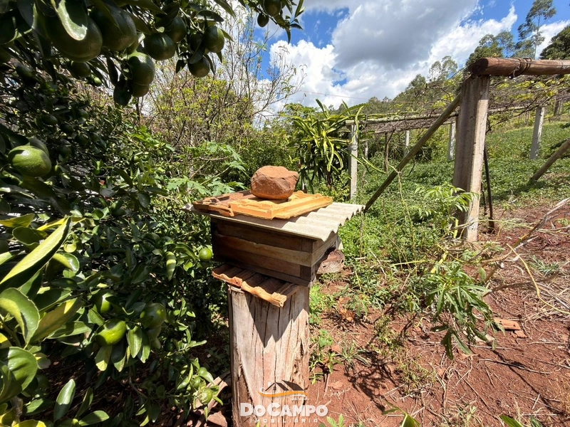 : 31ª foto da galeria de imagens do imóvel