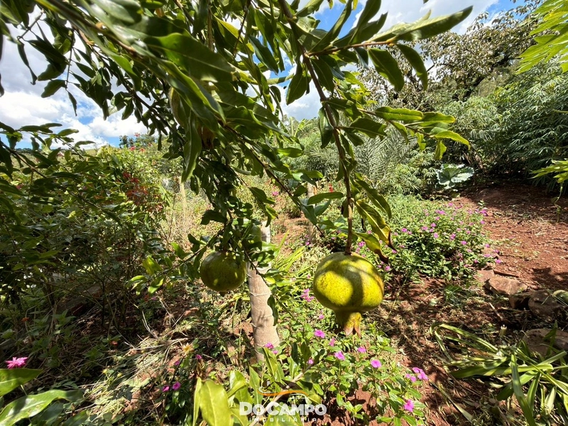 : 23ª foto da galeria de imagens do imóvel