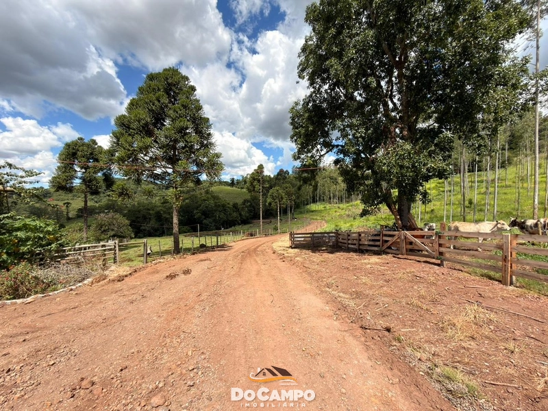 : 18ª foto da galeria de imagens do imóvel