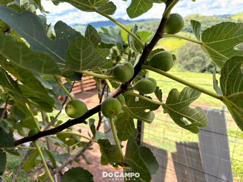 : 32ª foto da galeria de imagens do imóvel