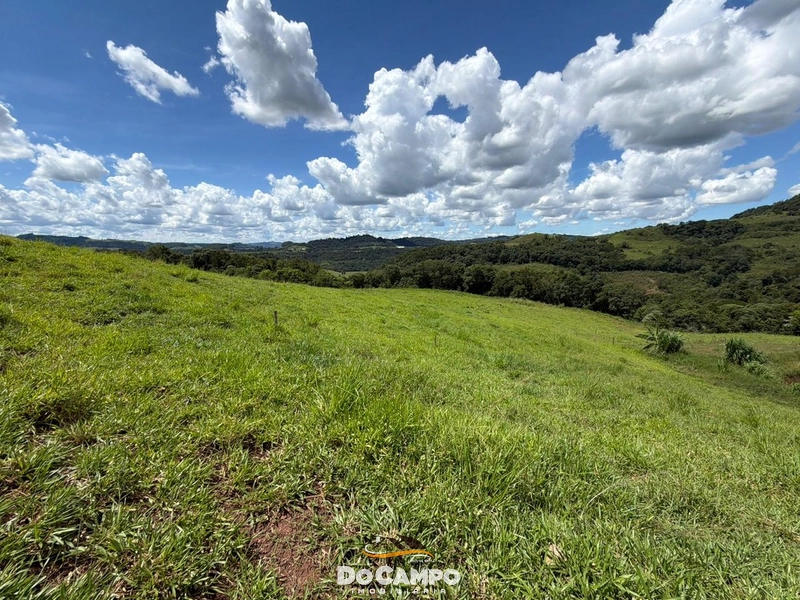 : 39ª foto da galeria de imagens do imóvel