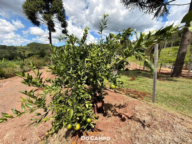 : 19ª foto da galeria de imagens do imóvel