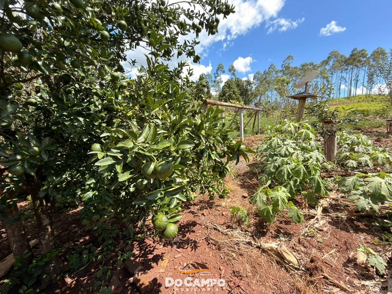 : 30ª foto da galeria de imagens do imóvel