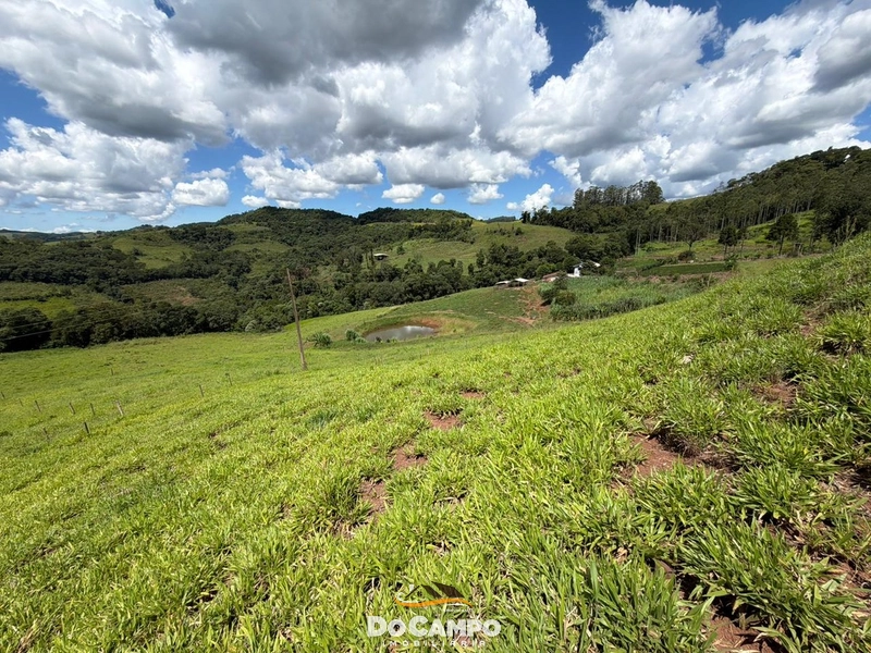 : 41ª foto da galeria de imagens do imóvel