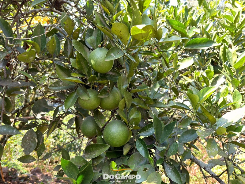 : 13ª foto da galeria de imagens do imóvel