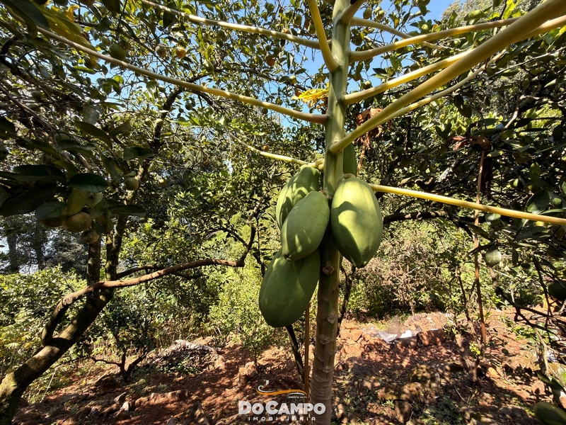 : 14ª foto da galeria de imagens do imóvel