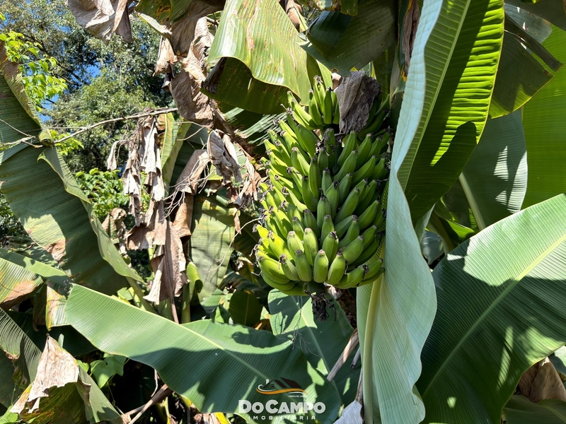 : 11ª foto da galeria de imagens do imóvel