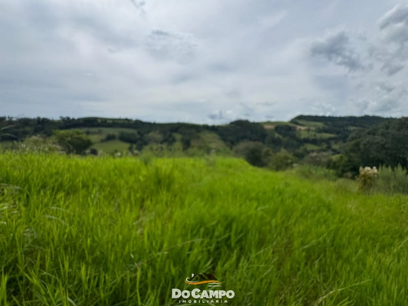 : 19ª foto da galeria de imagens do imóvel