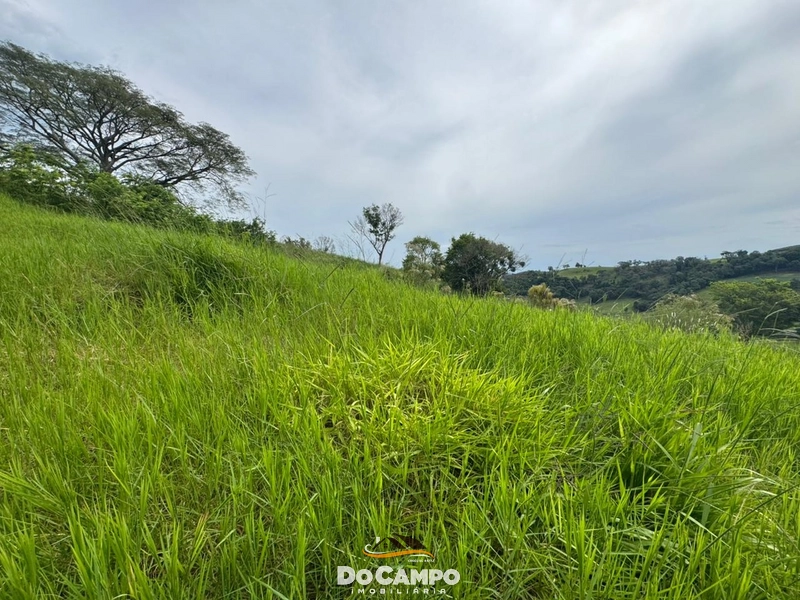 : 17ª foto da galeria de imagens do imóvel